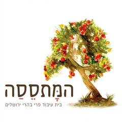 המתססה logo